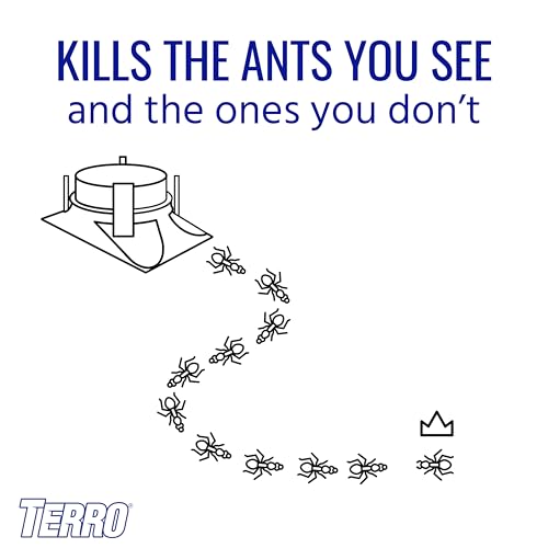 TERRO T1804-6 Outdoor Ready-to-Use Liquid Ant Bait Killer and Trap - Kills Common Household Ants - 4 Bait Stations