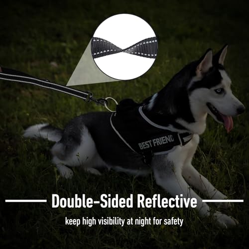 Wanmu Hundeleine Kurz, Kurzführer Hund 45 cm Übungsleine Kurzleine Hund Nylon Hundeleine für Mittlere Große Hunde