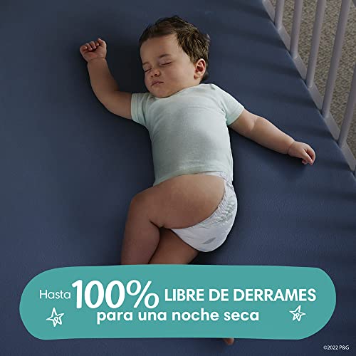 Image of Pampers Diapers