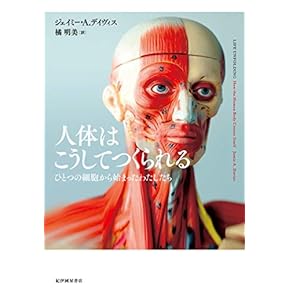 Amazon.co.jp: 組織学・発生学 - 基礎医学: 本