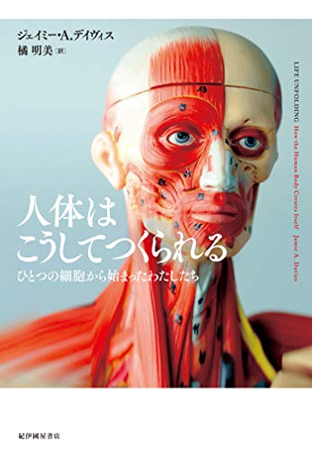 [ジェイミー・A・デイヴィス, 橘明美]の人体はこうしてつくられる――ひとつの細胞から始まったわたしたち