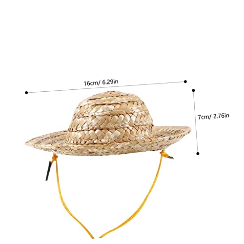 Accesorios para mascotas POPETPOP sombrero y lentes miniatura 2