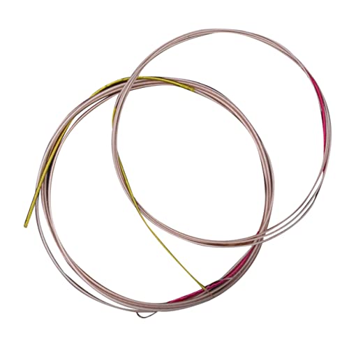 MUELODSIC 4pcs Pipa Strings Made of Durable Material for Chinese Lute Pipa Practice Strings Accessories