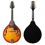 8-saitige A-Frame-E-Mandoline Mit Gitarrenzubehör Akustische Mandoline(2)