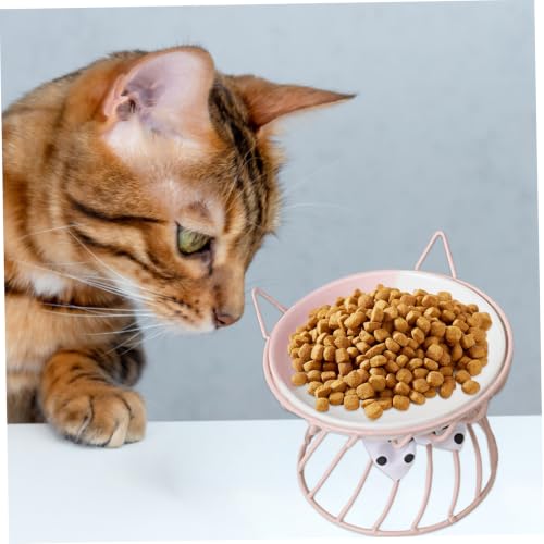 Bol en céramique pour chat avec support plaque alimentation surélevée