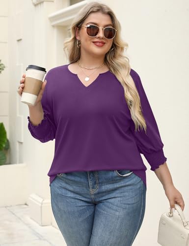Rapbin Womens Plus Size Tops 3/4 Sleeve Blouses Shirts Casual V Neck Loose Tunic Tops 1X-5X