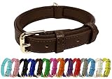 Vibrant Genuine Leather Adjustable Dog Collar with Soft Neoprene Padding, Metal Buckle and D-Ring, For Small, Medium & Large Dogs (Brown, Large (35-45cm Neck))