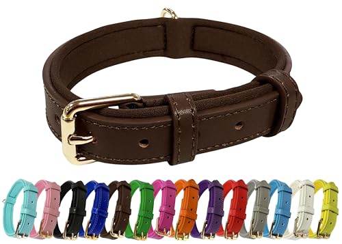 Image of Vibrant Genuine Leather Adjustable Dog Collar with Soft Neoprene Padding, Metal Buckle and D-Ring, For Small, Medium & Large Dogs (Brown, Small (25-33cm Neck))