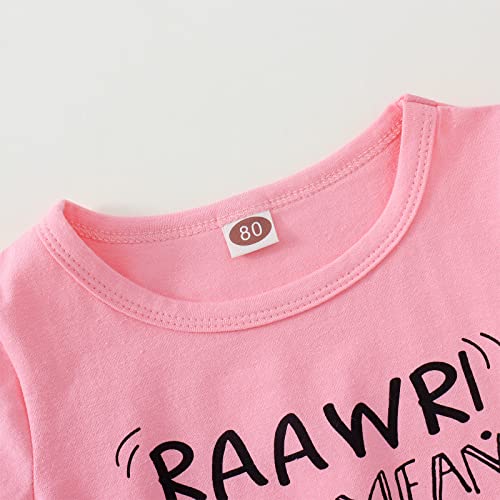 BOUTIKOME Toddler Baby Girls Boys Summer Shorts Set Dinosaur Short Sleeve T-Shirt Pants 2pcs Casual Clothes Outfits4