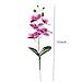 6 Branch Artificial Orchid Stems with Leaves,15” Real Touch Dancing Orchid Flower,Fake Plants Phalaenopsis for Wreaths Wedding Centerpiece Floral Arrangement Porch Summer Cemetery Decor (Rose Pink)