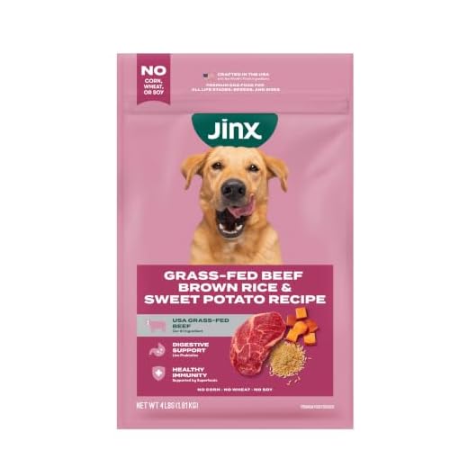 Jinx Premium Dry Dog Food, for All Lifestages - Real Beef, Brown Rice & Sweet Potato Kibble with Superfoods for Immune Support & Probiotics for Digestive Support - No Fillers - 4lb