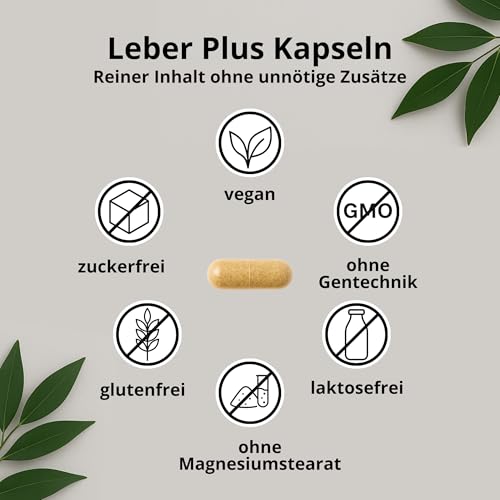 Leber Plus hochdosiert - 80% Silymarin, Mariendistel Kapseln mit Artischocke, Löwenzahn, Curcuma & Cholin - 120 Kapseln - Vegan - Milk thistle - Made in Germany