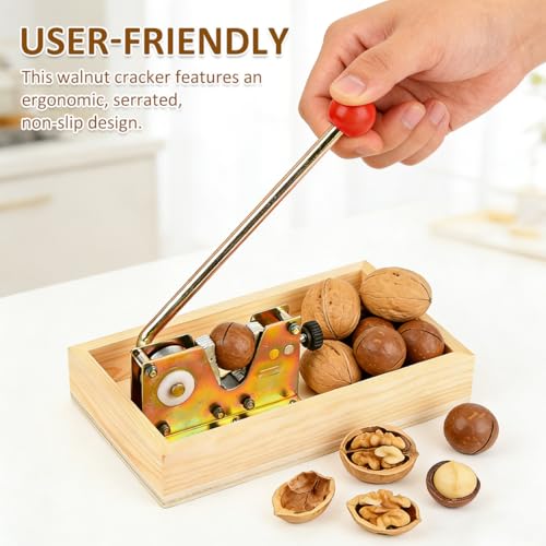Nussknacker Walnüsse Nut Cracker en métal robuste avec 3 brosses incluses - 7