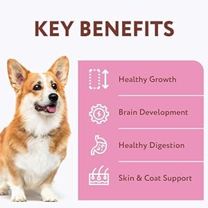 OPtimeal-No-Grain-Wet-Dog-Food-for-Puppies-Proudly-Ukrainian-Puppy-Food-Wet-Recipe-for-Healthy-Digestion-Non-Grain-Wet-Puppy-Food-for-Growing-Pups-45lbs-Total-24-Pouches-Chicken-Beef - Cucciolini Doodles   OPtimeal-No-Grain-Wet-Dog-Food-for-Puppies-Proudly-Ukrainian-Puppy-Food-Wet-Recipe-for-Healthy-Digestion-Non-Grain-Wet-Puppy-Food-for-Growing-Pups-45lbs-Total-24-Pouches-Chicken-Beef