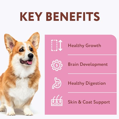 OPtimeal-No-Grain-Wet-Dog-Food-for-Puppies-Proudly-Ukrainian-Puppy-Food-Wet-Recipe-for-Healthy-Digestion-Non-Grain-Wet-Puppy-Food-for-Growing-Pups-45lbs-Total-24-Pouches-Chicken-Beef - Cucciolini Doodles   OPtimeal-No-Grain-Wet-Dog-Food-for-Puppies-Proudly-Ukrainian-Puppy-Food-Wet-Recipe-for-Healthy-Digestion-Non-Grain-Wet-Puppy-Food-for-Growing-Pups-45lbs-Total-24-Pouches-Chicken-Beef