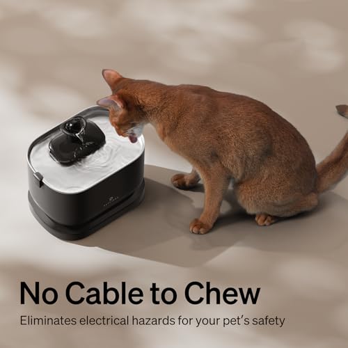 Image of Bundle of PETLIBRO Cat Water Fountain, Cordless Pet Water Fountain Battery Operated+8 Packs Replacement Filters for Dockstream Cat Water Fountain WF005 WF115 WF105, 4 Months Set of Replacement Filters