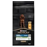 Purina Pro Plan Large Puppy Athletic Start Pienso para Perro Grande, Cachorro, Junior, Bebé con Pollo, saco de 12kg