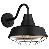 Generation Lighting Barn Light Cage for Outdoor Light Fixture Black 96374-12, Stainless Steel Hanging Light Cage for Rustic Home Decor, Metal Lamp Guard for Outdoor Wall Light Fixture