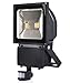 Produktbild Himanjie®10W/20W/30W/50W/100W LED Fluter + Bewegungsmelder warmweiß Außenstrahler Objektbeleuchtung Strahler wasserdicht IP65 (100 Watt)