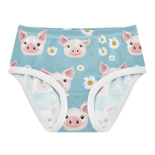 Wusikd Cute Pigs Daisy Girls' Underwear Cotton Flowers Blue Girls Briefs Soft Toddler Underwear 2T