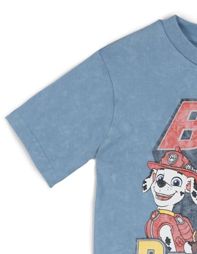 Paw Patrol Birthday T-Shirt Toddler to Little Kid Sizes (2T - 7-8)4
