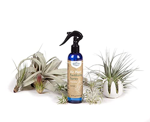 Southside Plants Air Plant Farm Weekly Fertilizing Spray - Gentle Mist Fertilizer For Cute Tillandsia Live Indoor House Succulents - Feed & Grow - 8Oz #TOP7