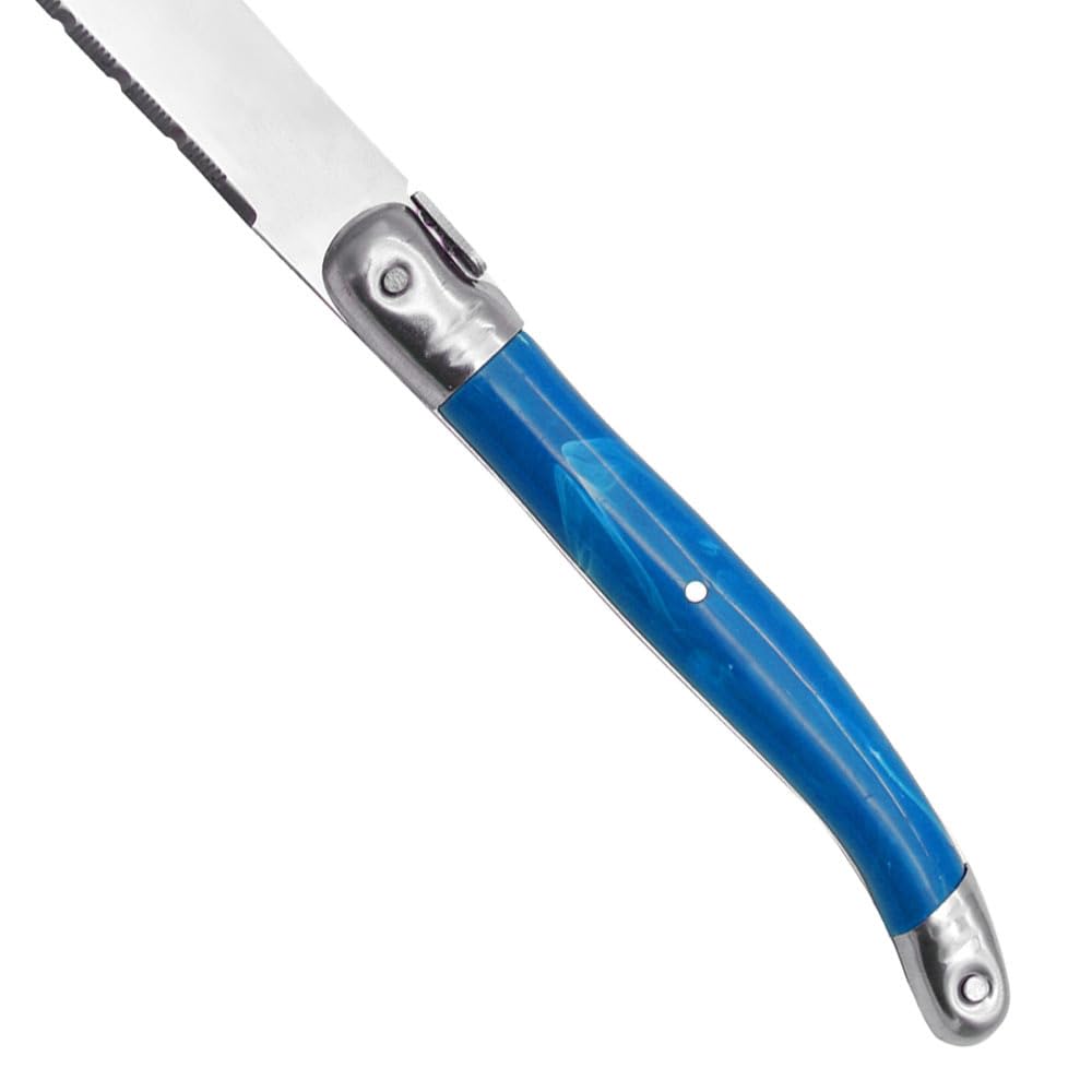 Murago 6er Set Color Steakmesser - Edelstahl Fleischmesser Pizzamesser Steakmesser Messer Gastronomie bunte bunt im Geschenkkarton