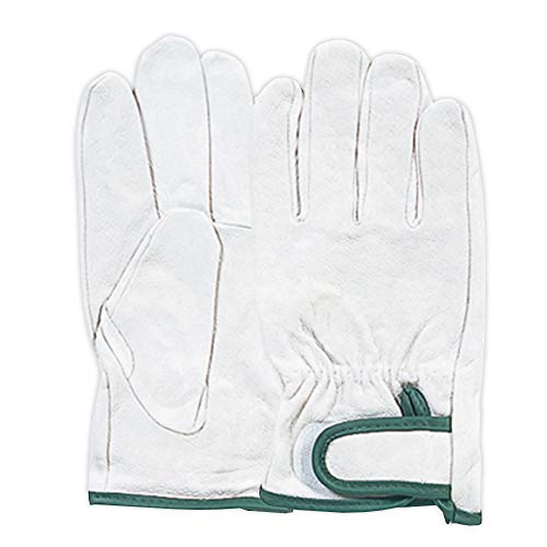 ӂ(Otafuku Glove) v [؊v }WbN] JW-825 M