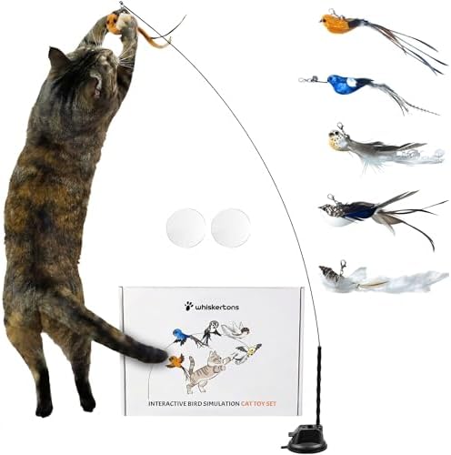 Whiskertons Interactive Bird Simulation Cat Toy Set, Interactive ...
