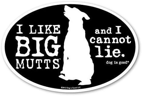 Dog is Good Oval Car Magnet Big Mutts - Great Gift for Dog Lovers, 4x6 Inches