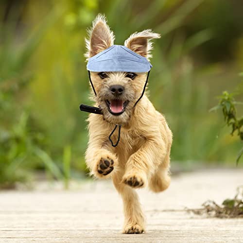 2 Pieces Dog Baseball Hat With Neck Strap Adjustable Pet Dog Cat Summer Travel Outdoor Baseball Hat Visor Sunbonnet Outfit With Ear Holes For Puppy Small Dogs And Cats, Blue And Pink #TOP4
