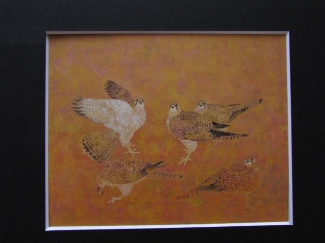 Amazon.co.jp: 野々内良樹、チョウゲンボウ、な額装用画集より、、額装