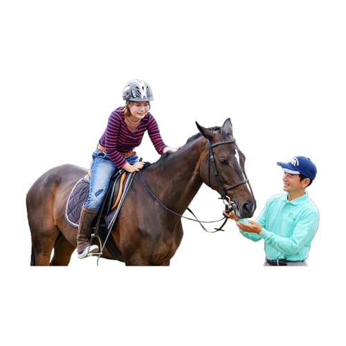 明石乗馬協会 基礎を学べる乗馬4回コース 体験チケット 体験 スポーツ アウトドア