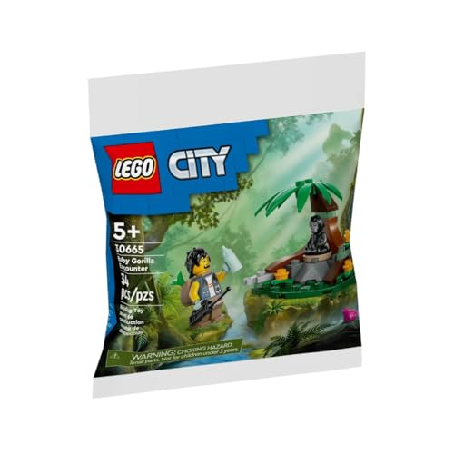 LEGO LEG30665 - vue 3