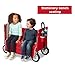 Radio Flyer 3-in-1 Off Road to Paved Path Baby Stroller Wagon, Rolling Cart, Foldable, Removable Canopy Ages 1.5+