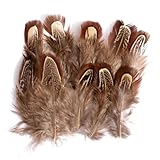 Matériau : plume Lot de 100 plumes de faisan naturelles pour travaux manuels, couture, vêtements, décorations, bijoux, accessoires, chapeau, arrangements floraux et projets de bricolage