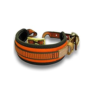 Niggeloh Schweißhalsung Hundehalsband orange-oliv XS