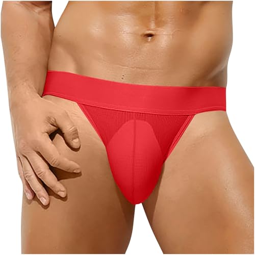 Cambkatl Men's Sexy Briefs Stretchy Underwear Sissy Lingerie Naughty Bikinis Thong Panties
