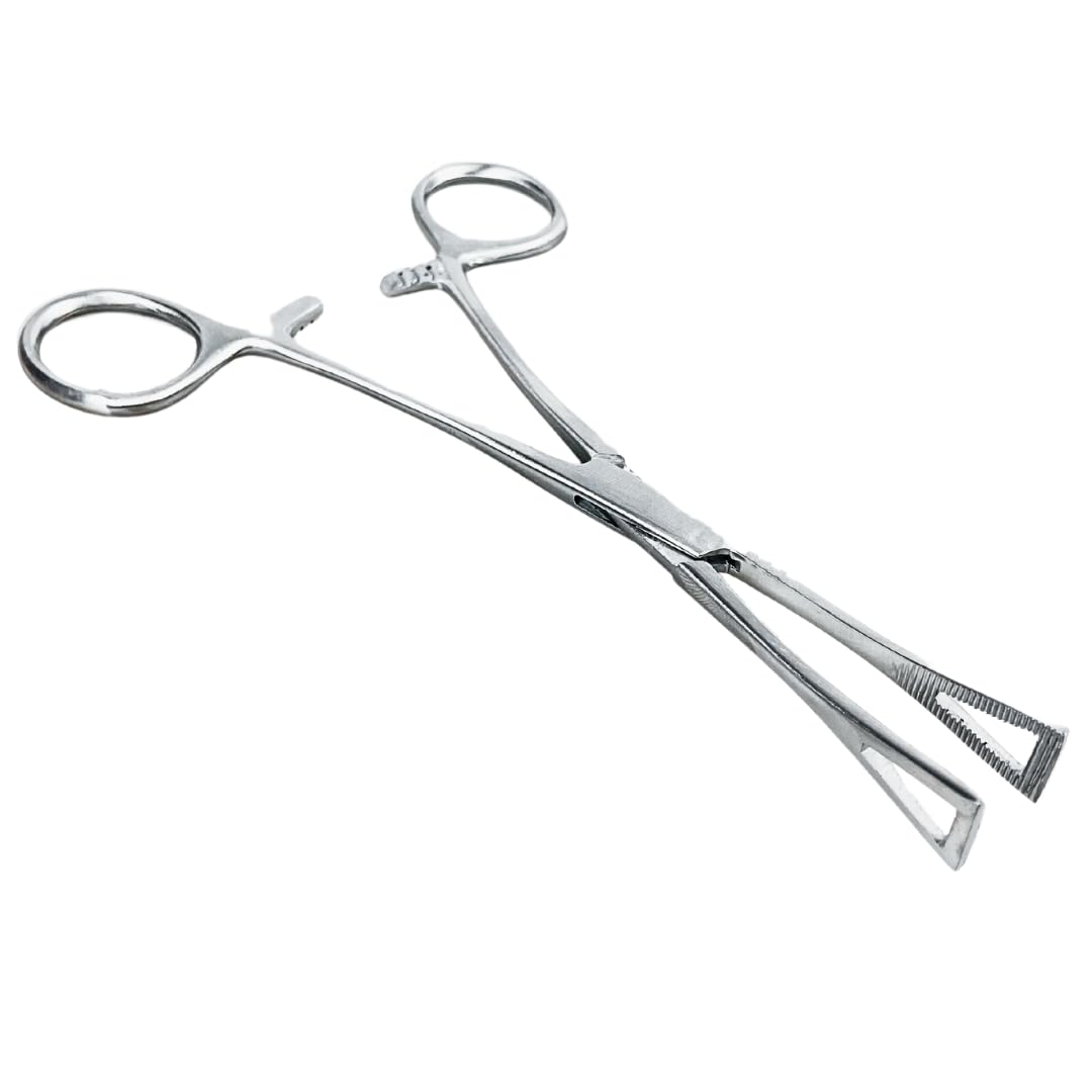 Hawk Stainless Steel Precision Ear Piercing Forceps | Great for Ear Piercing and Other Applications Including Arts and Crafts, Hobbyist Work
