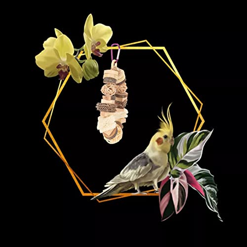 Srliya Papagaço Brinquedos de Mastigação, Brinquedos de Madeira para Mastigar de Madeira para Cockat