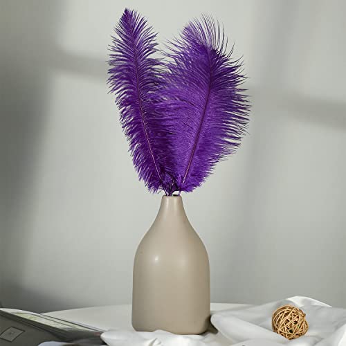 Hollosport 30 Pcs Ostrich Feathers,Bulk Soft Natural Feathers For Crafts Centerpieces Party Wedding Home Decorations Dream Catchers Vases (Purple 10-12 Inch) #TOP4