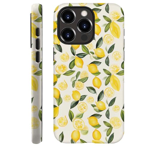 Coque iPhone 13 Pro Max antichoc double couche évite les bris d'écran