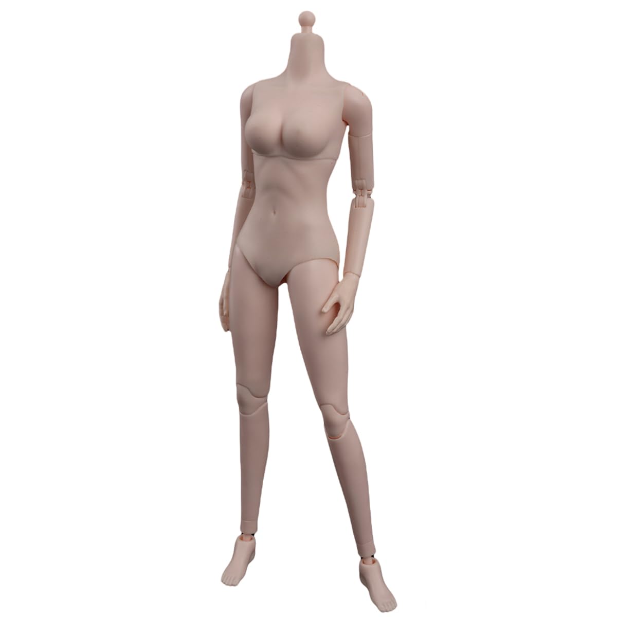Amazon | HiPlay ZYTOYS 1/6 半シームレス女素体 ZY-B008 中胸版 女性