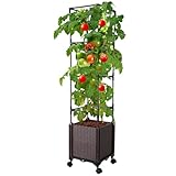Antmoilios Raised Garden Bed with Tomato Cage & Trellis, 56" Self-Watering Tomato Planter Box for Vegetables Flowers | Lockable Wheels, Vertical Gardening | Indoor Outdoor Patio Use, Easy Assembly