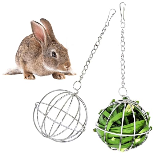 Tkxjry 2 Stück Heuball zum Aufhängen, Nager Futterball Kugel, Metall Heuball, Pet Gras Ball Edelstahl, Kaninchen Metall Heuball, für Futterkaninschen, Hamster, Chinchillas und Meerschweinchen