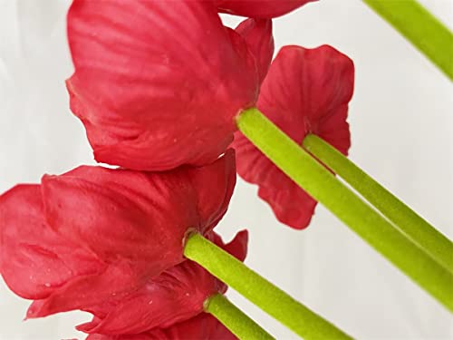 Lebritamfa B01EYQCRE2 10 Pcs High Quaulity Fresh Artificial Mini Real Touch Pu/ Latex Corn Poppies Decorative Silk Fake Artificial Poppy Flowers thumb #6