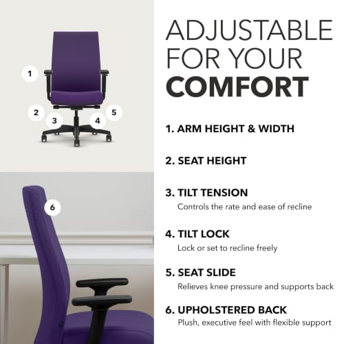 Image of HON Ignition 2.0 Ergonomic Office Chair, Lumbar Support, Desk Chair, Iris