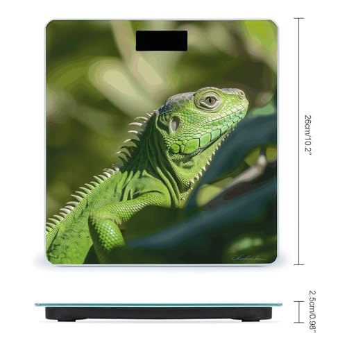 Báscula Digital para Baño con Pantalla LCD y Vidrio Templado miniatura 2