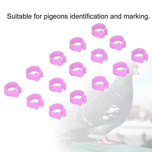100 peças de identificação 8 mm anéis de perna de identificação faixas de perna de aves sem palavras