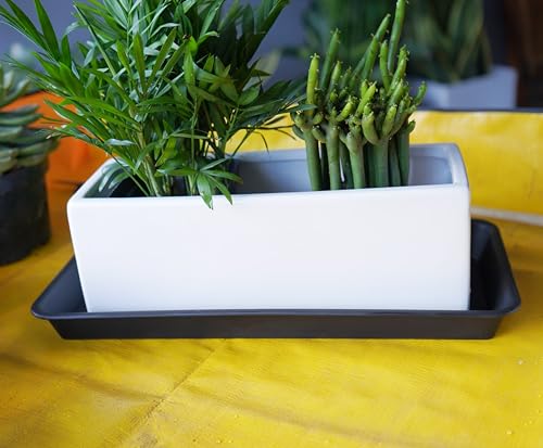 Vuwez 2 Pack Of Plastic Plant Tray Saucer Rectangular thumb #5